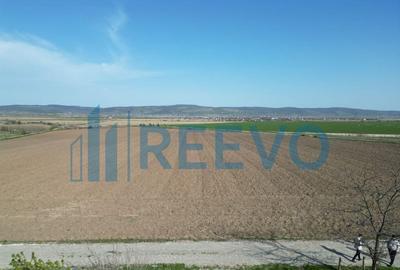 Teren de vanzare, Com. Nicolae Balcescu, Jud. Bacau - 5