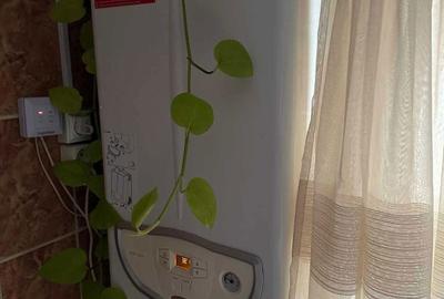 Apartament cu 3 camere decomandat în Central - 4