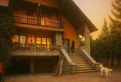 Pet Friendly, Vedere Padure, 5000mp teren, D+P+1E+M, semineu, foisor - 40