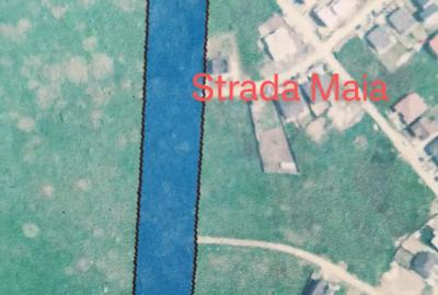 Apartament cu 3 camere decomandat în Șagului - 3