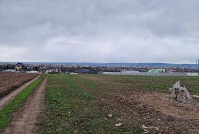 Teren de 10000 mp, în Vest - 3