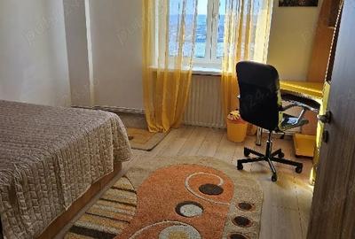 Apartament cu 3 camere decomandat, mobilat în Craiovița Nouă - 6