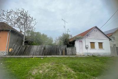 Casă cu Teren 1439 Mp în Bacova - 2