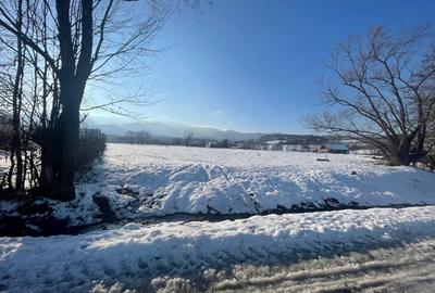 Teren Construcții intravilan de 2000 mp, în Sadu - 11