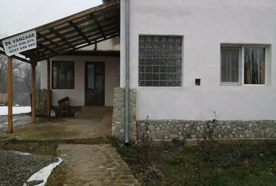 Casă cu 5 camere cu Teren 2500 Mp în Plopeni - 6