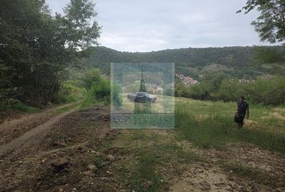 Teren Construcții intravilan de 1550 mp, în Central - 2