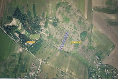 Teren de 5000 mp, în Proselnici - 1