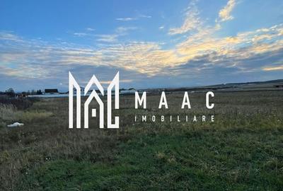 Teren Construcții intravilan de 2100 mp, în Șura Mică - 6