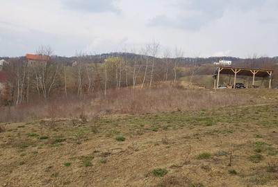 Teren de 23000 mp, în Central - 1