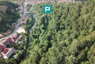 Teren Construcții intravilan de 13861 mp, în Est - 17
