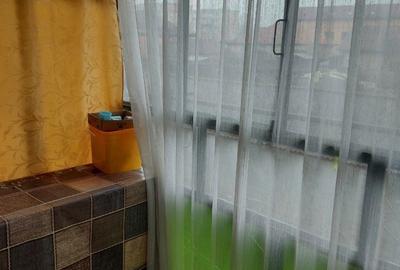 Apartament cu 2 camere semidecomandat în 9 Mai - 4