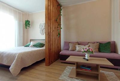 Confort ?i loca?ie excelenta apartament 1 camera Eroilor - 5