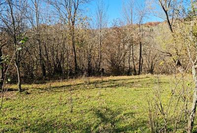 Spațiu comercial, în Provița de Jos - 6