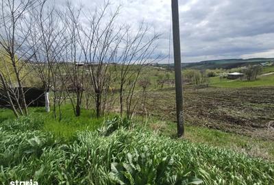 Teren de 3150 mp, în Răchiți