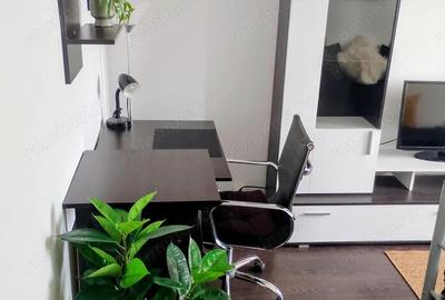 CI598 Badea Cartan-Lorena,1 camera,Renovat - 5