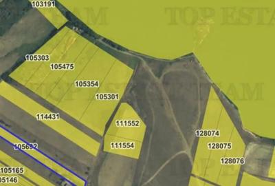 Teren în Exterior Sud - 5