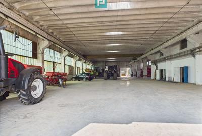 Spațiu industrial, de 6,179 mp, în Orțișoara - 2