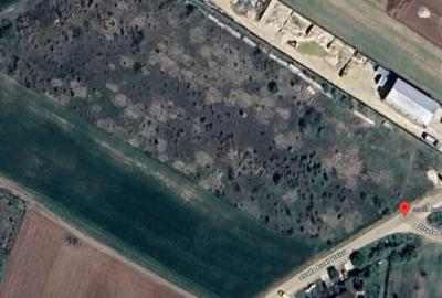 Teren intravilan, mixt, 9971mp, d 46ml, Ciorogarla, str Aurel Vlaicu. - 1