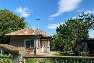 Casă cu 3 camere cu Teren 3600 Mp în Ulmi - 2