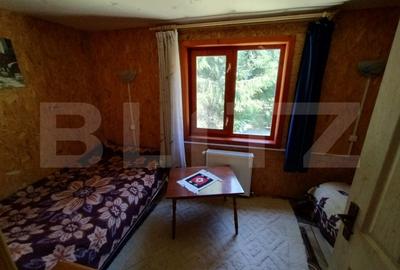 Cabana 4 camere Lunca Bradului - 18