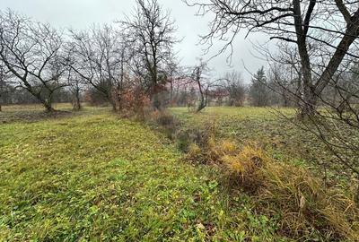 Teren Construcții intravilan de 1071 mp, în Central - 3