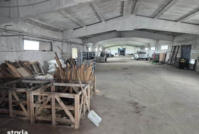 Spațiu comercial, de 600 mp, în Becicherecu Mic - 6