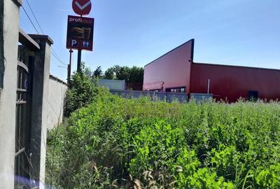 Movilita (IL)-teren de inchiriat aprox. 2 ha stradal, lan... - 22