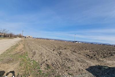 Teren de 710 mp, în Calea Bârladului - 1