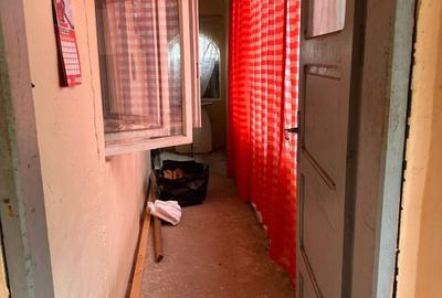 Casă cu 3 camere în Cernica - 3