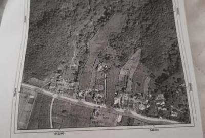 Teren de 7000 mp, în Ștubeie Tisa - 9