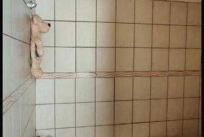 Apartament cu 2 camere, Parter, 45 mp, Parcul Libertății, Oradea. - 8