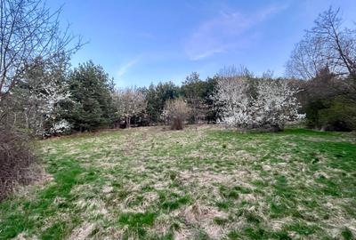 Teren Construcții intravilan de 495 mp, în Poiana Angelescu - 1