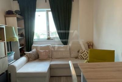 Apartament de 2 camere cu vedere in parcul Teilor la 11 minute distanta - 14
