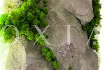 Duplex cu 5 camere cu Canalizare în Aradului - 23