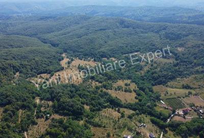 Teren de vanzare in comuna Baicule?ti, sat Valea lui Enache, jude? Arge?. - 5