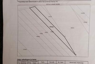 Teren de 2500 mp, în Găneasa - 1