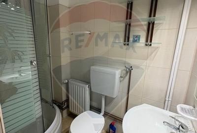 Apartament cu 3 camere la curte comuna, in zona Romanilor - 14