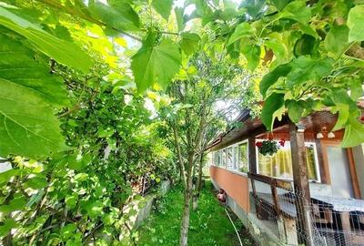 Vila luminoasa, gradina proprie, priveliste panoramica spre munti, Harman, Braso - 14