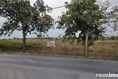 Teren Intravilan Constructii Ediliatre P+3E POT 55% Ghiroda-Aeroport - 7