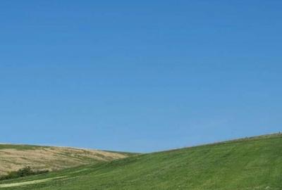 Cota de 1/2 din teren extravilan, comuna Rogova, Jud Mehe... - 1