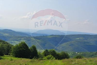 Teren 130000 mp extravilan Munteni - Bulz, Negreni - 17