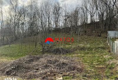 Casă cu 3 camere decomandat cu Teren 1554 Mp în Poiana - 2