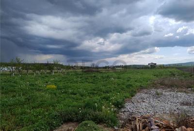 Teren de 1000 mp, în Paleu - 2
