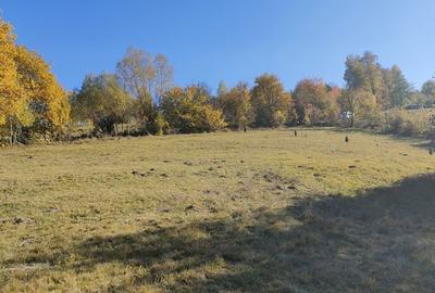 Teren în Central - 2