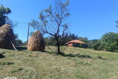 Teren de 10378 mp, în Brebu - 3