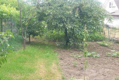 Casă cu 2 camere în Central - 7