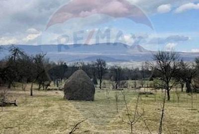 Teren 6,900mp Breb / Strada PRINCIPALA - 8