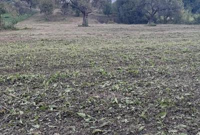 Teren de 4200 mp, în Hodac