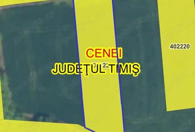 Teren în Cenei - 3