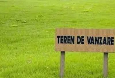 Teren de vanzare extravilan in localitatea Liebling si Jebel 150 ha - 1